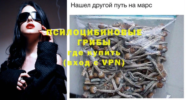 apvp Дмитриев