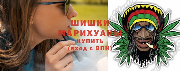 apvp Дмитриев