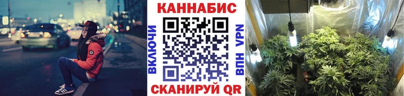 Купить  Копейск  Бошки Шишки AK-47 